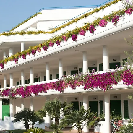 Corvino مونوبولي